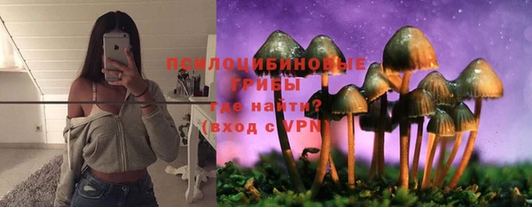 мет Россошь