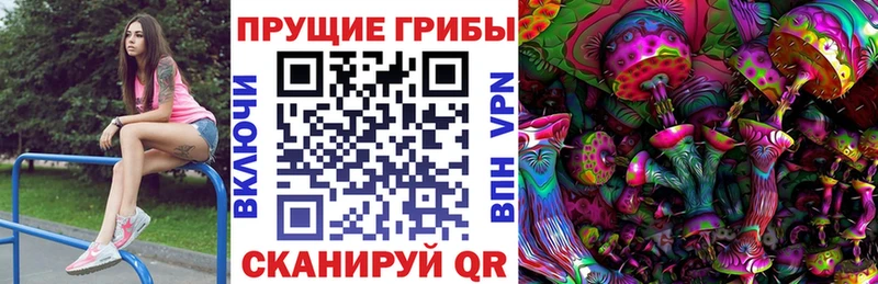 omg зеркало  купить закладку  Харабали  Галлюциногенные грибы прущие грибы 